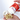 Fertility Diet: The Best Foods to Eat When Trying to Conceive in 2026 - Conceive Plus® Asia